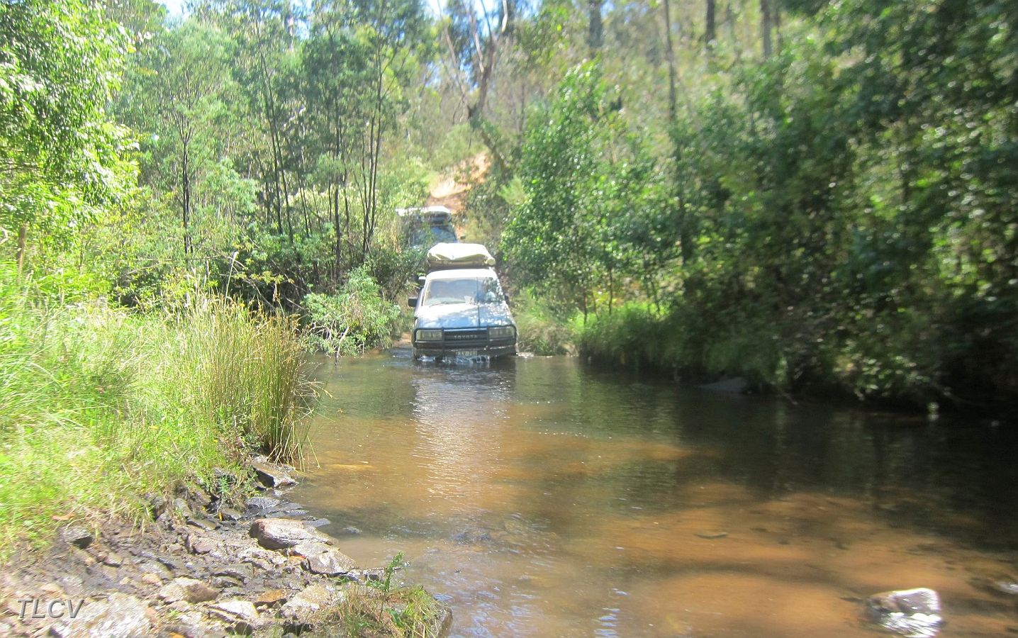 04-Manky enjoying a dip on the Ingeegoodbee track.JPG